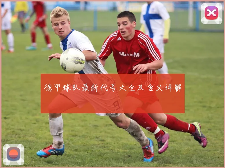 德甲球队最新代号大全及含义详解