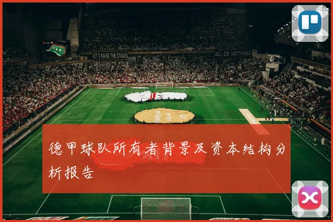 德甲球队所有者背景及资本结构分析报告