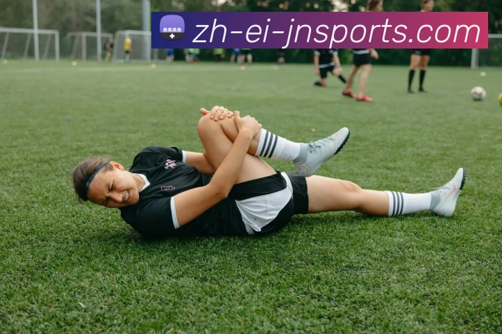 App Interface Preview